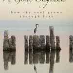 A Grace Disguised Revised and Expanded