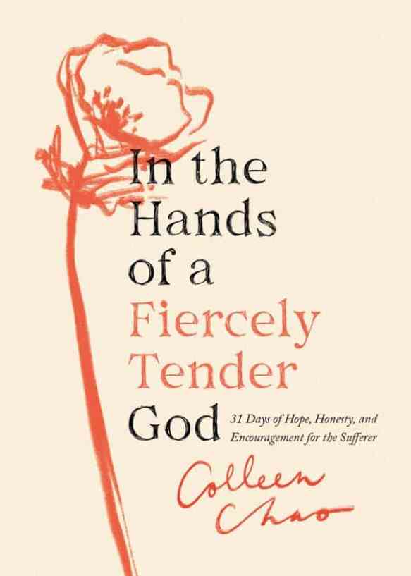 In The Hands of a Fiercely Tender God