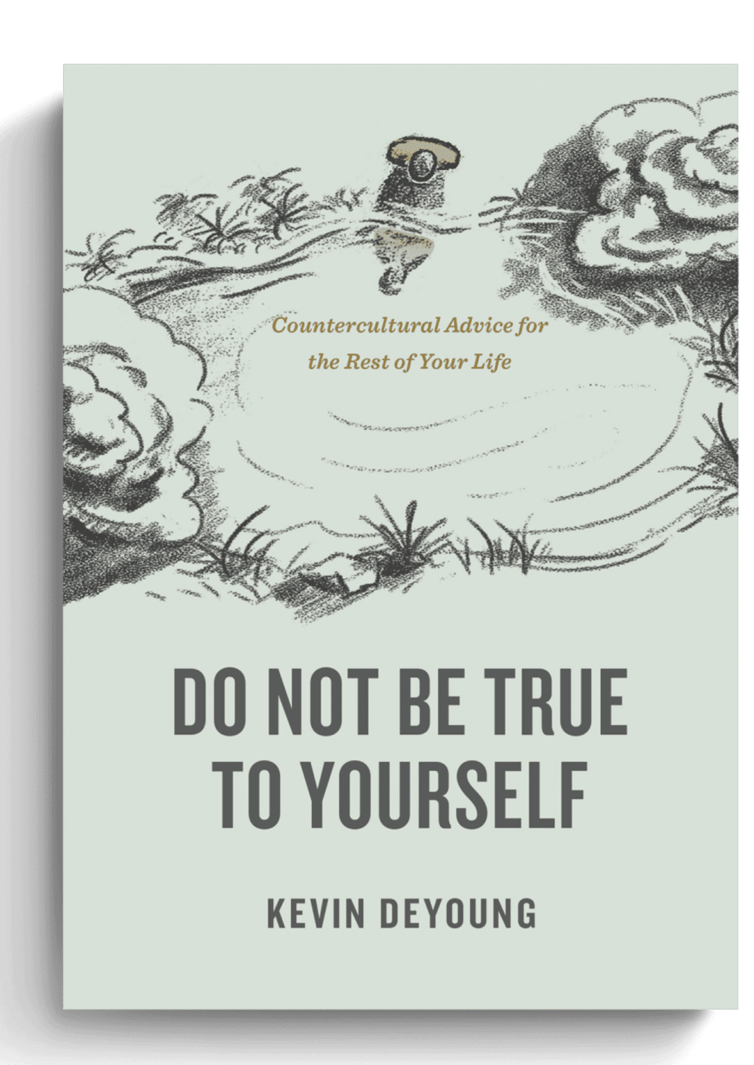 do-not-be-true-to-yourself-countercultural-advice-for-the-rest-of-your