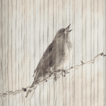 Upon Waking: 60 Daily Reflections to Discover Ourselves and the God We Were Made For